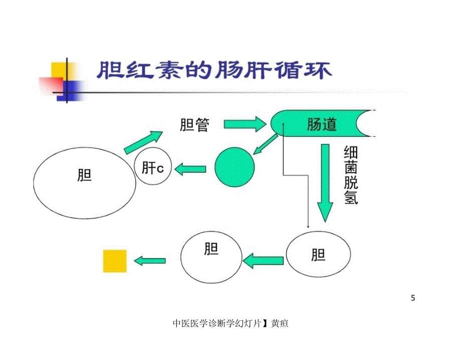 中医医学诊断学幻灯片黄疸课件_第5页