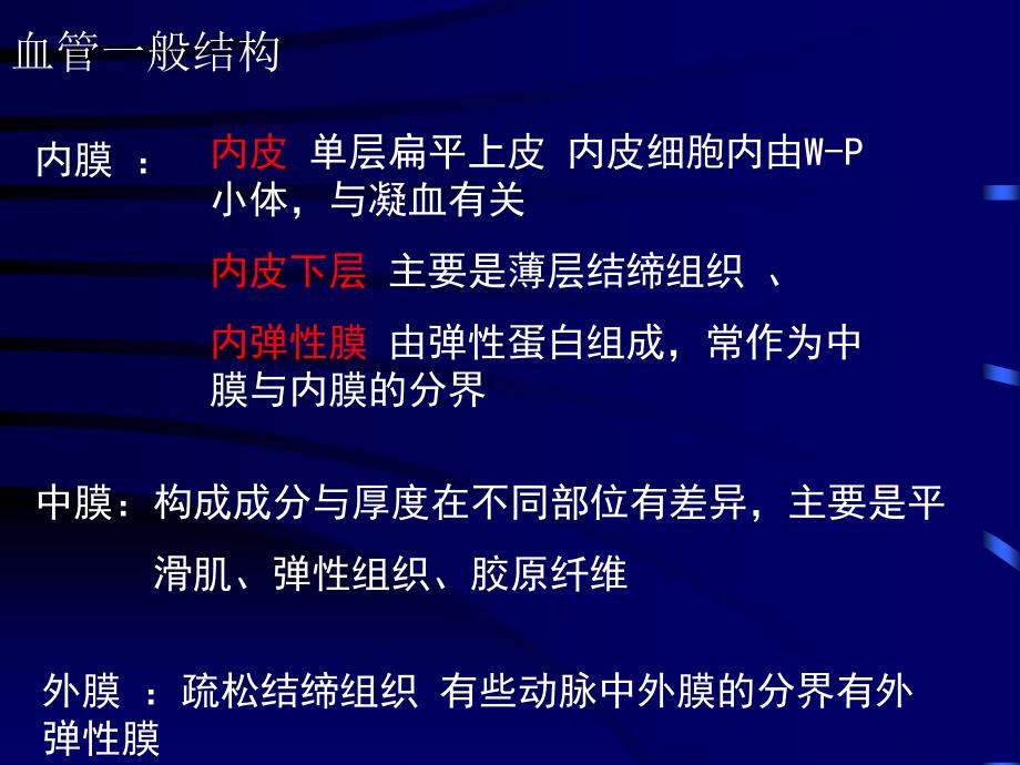 组织胚胎学循环PPT课件_第3页