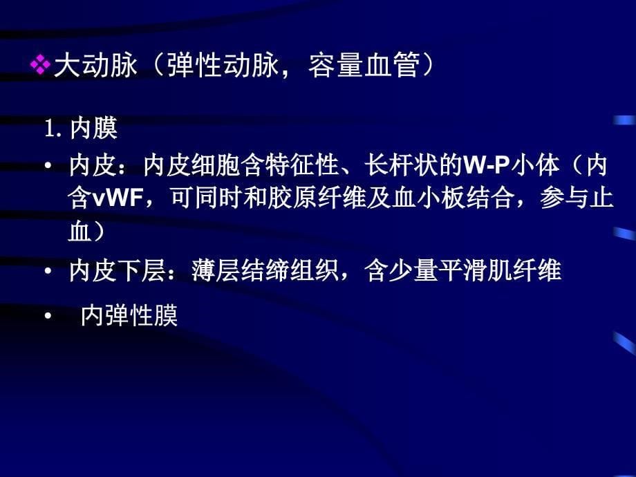 组织胚胎学循环PPT课件_第5页