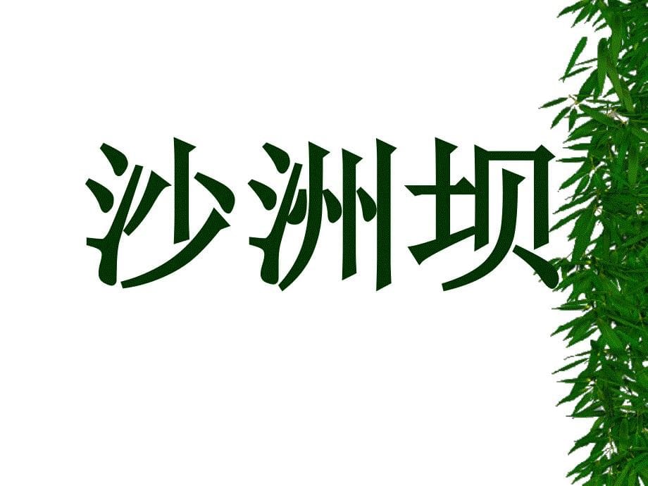 第六册语文：第十二单元《吃水不忘挖井人》ppt课件（长春版）_第5页