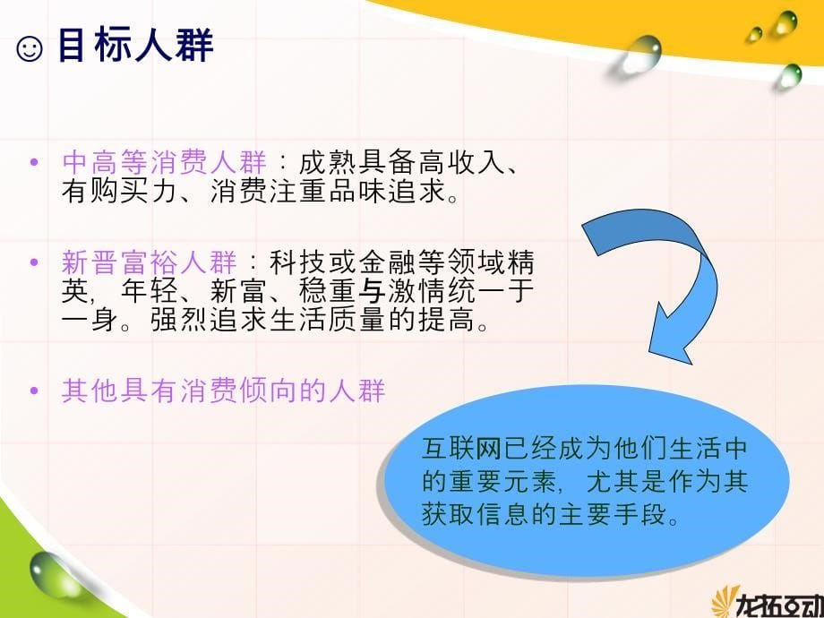 东风日产试驾网络推广方案_第5页