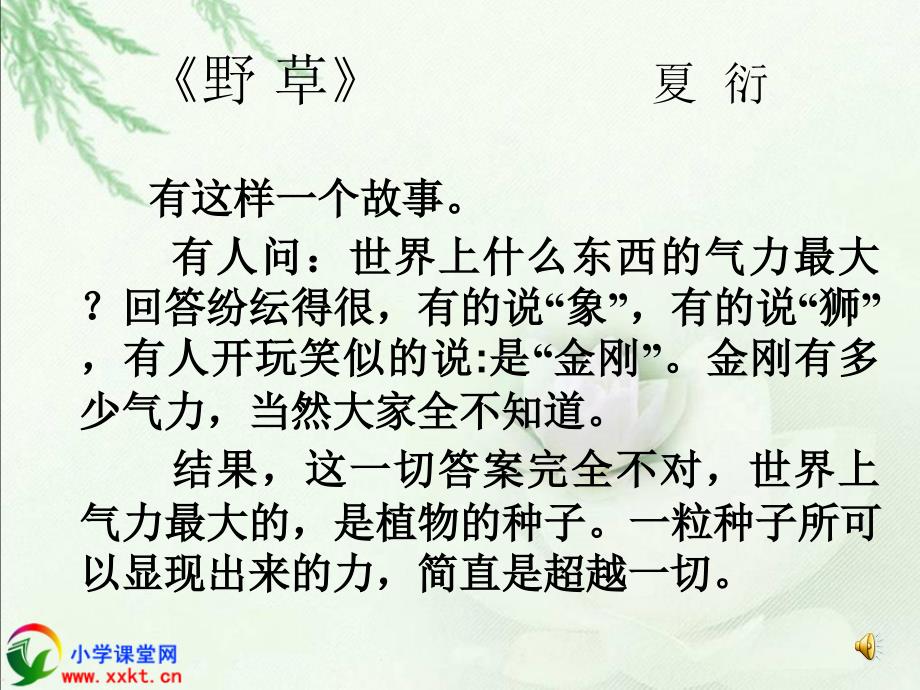 《野草》PPT课件_第4页