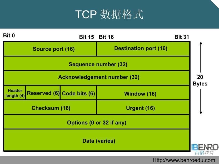 第3章 TCPIP层次模型_第5页