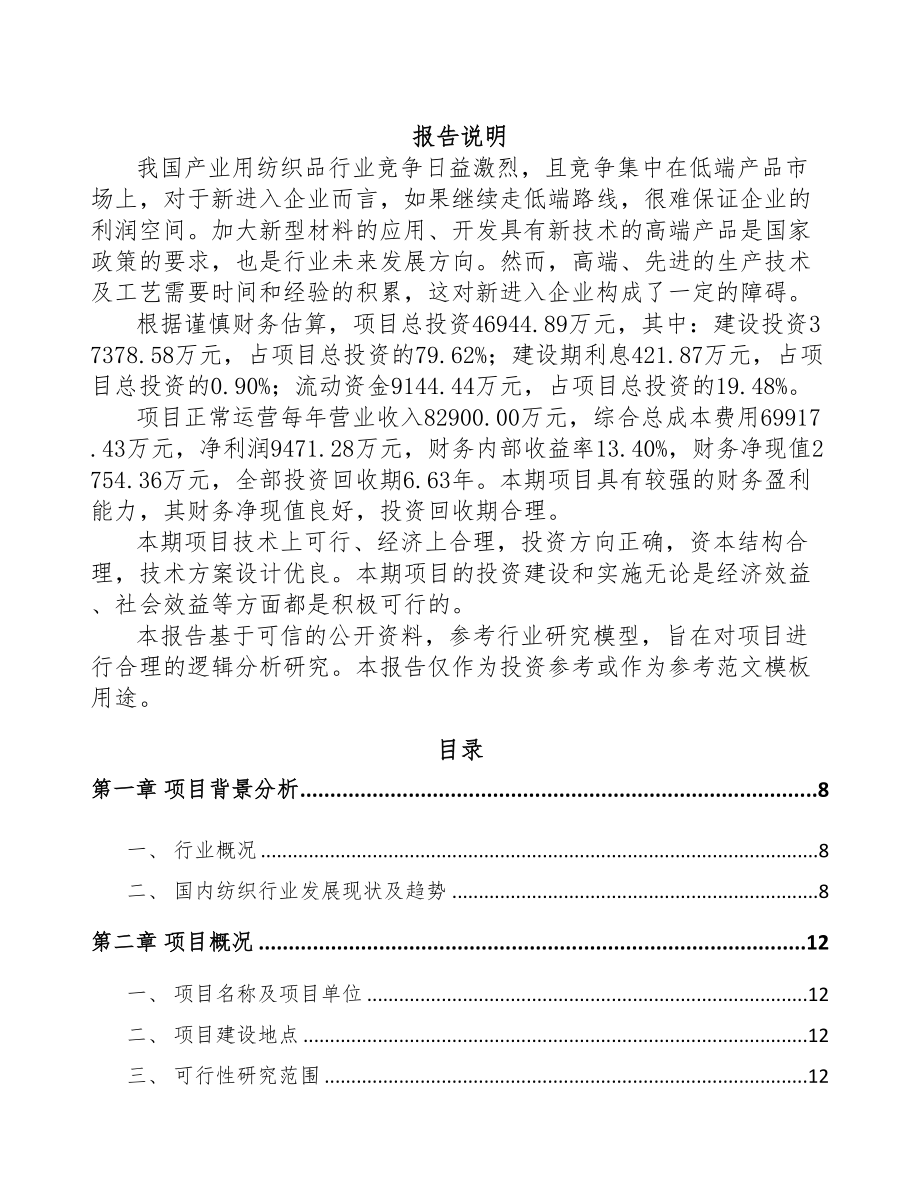 辽宁工业基布项目可行性研究报告(DOC 89页)_第1页