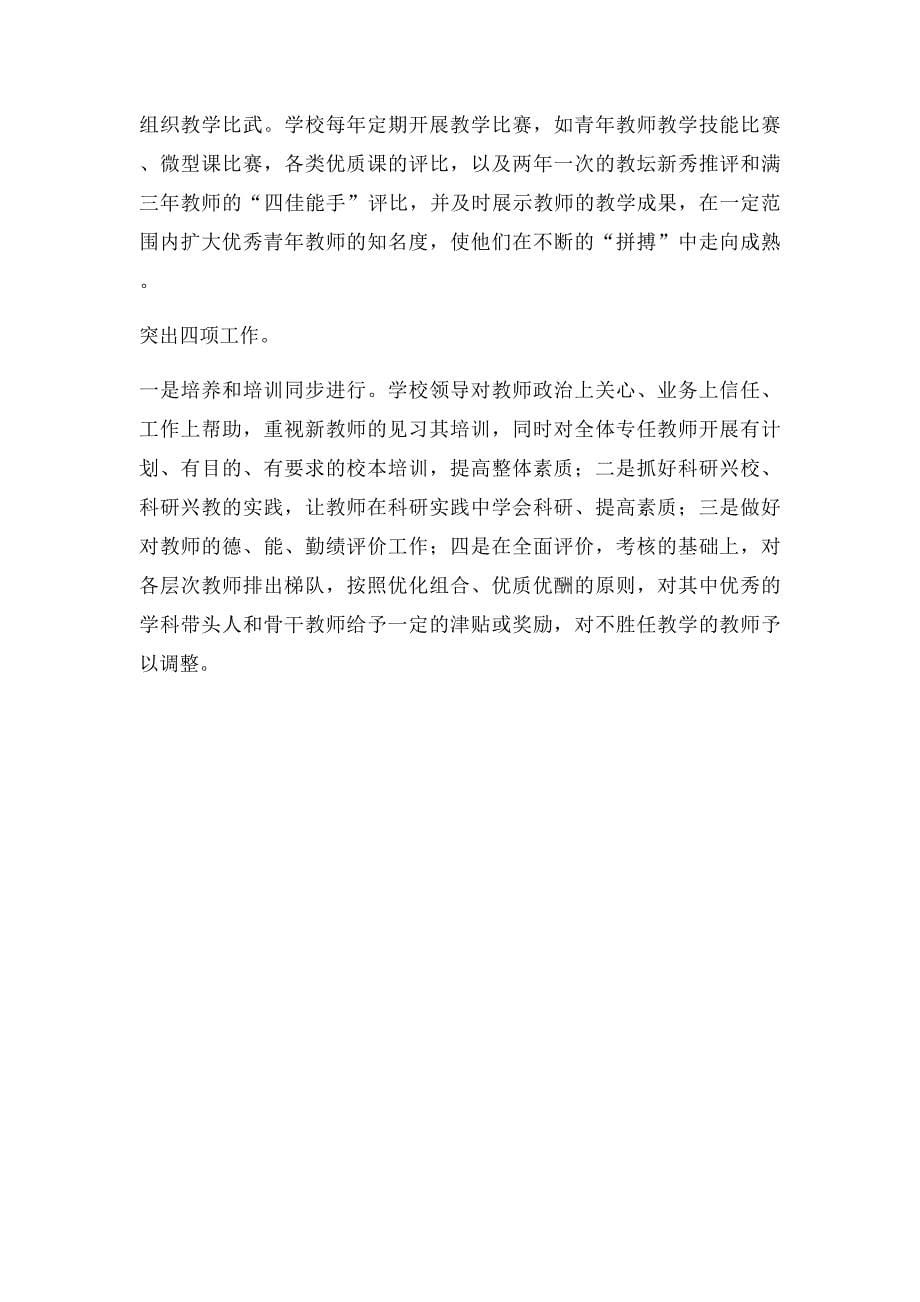 教师队伍建设规划_第5页