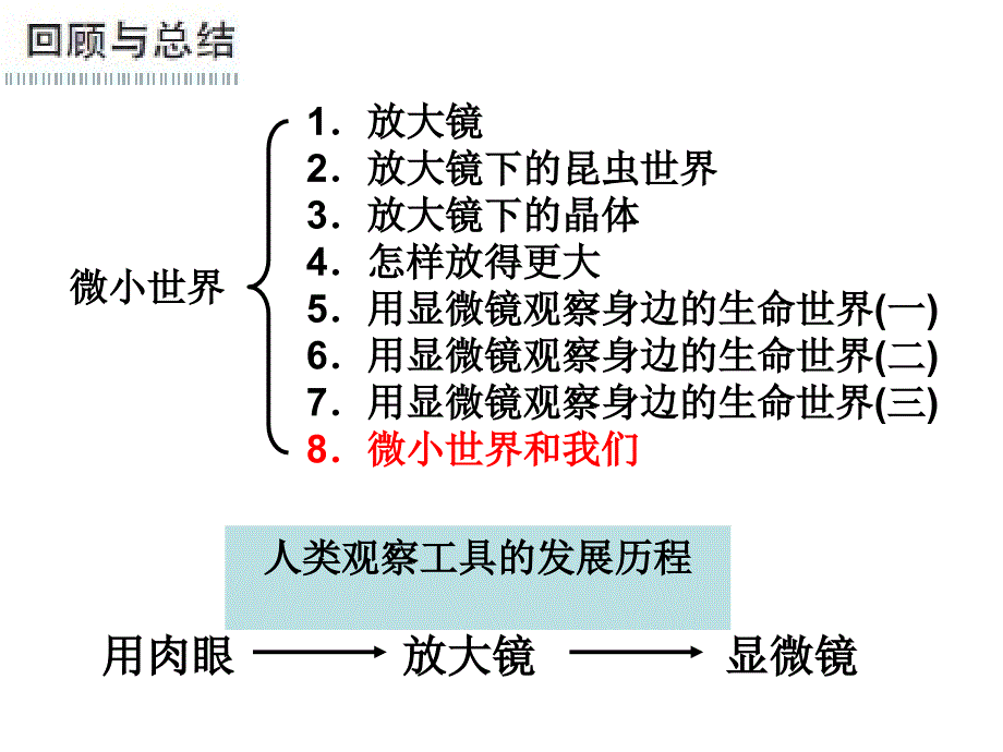 教科版六年级下册第一单元第8课ppt课件_第2页