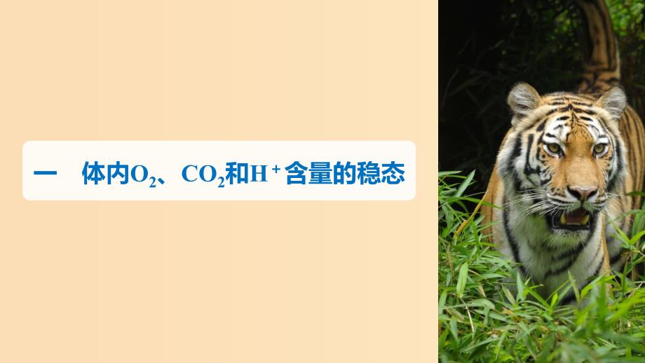 2018-2019版高中生物第2章生物个体的内环境与稳态第4节动物生命活动的化学调节第3课时课件北师大版必修3 .ppt_第4页