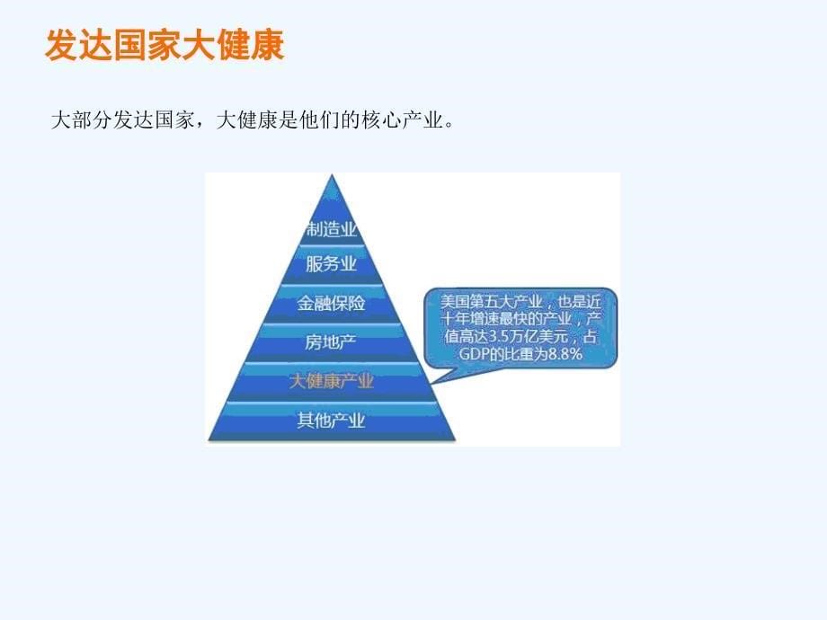 大健康产业行业分析报告课件_第5页