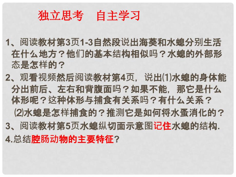 吉林省通化市八年级生物上册 5.1.1腔肠动物和扁形动物课件 （新版）新人教版_第4页