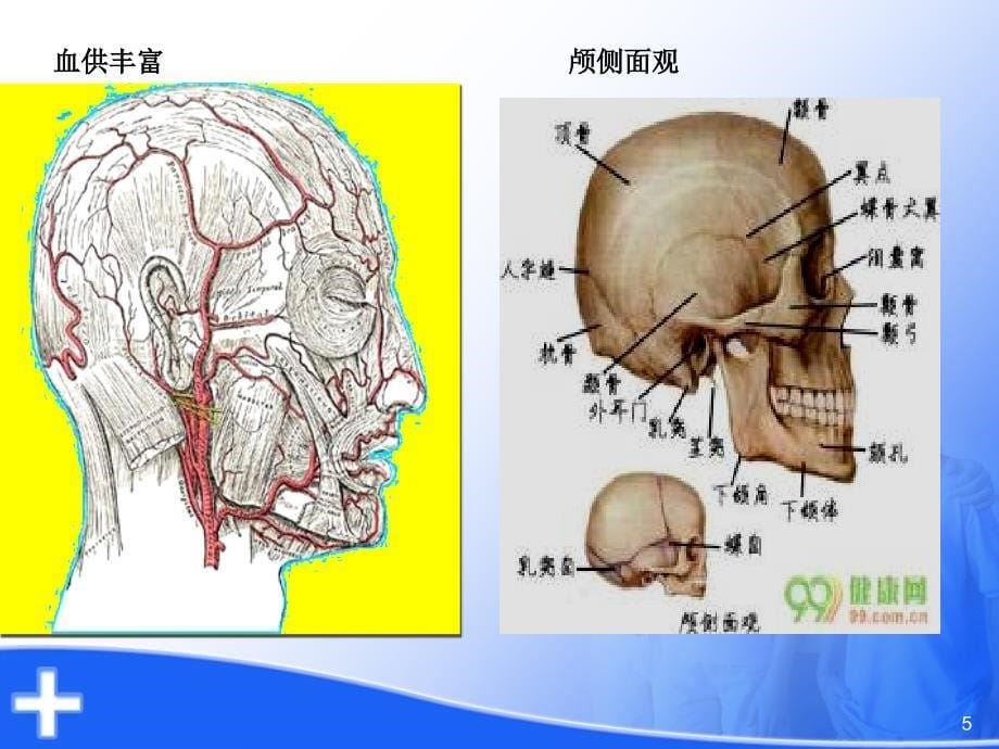 口腔颌面部损伤ppt课件_第5页