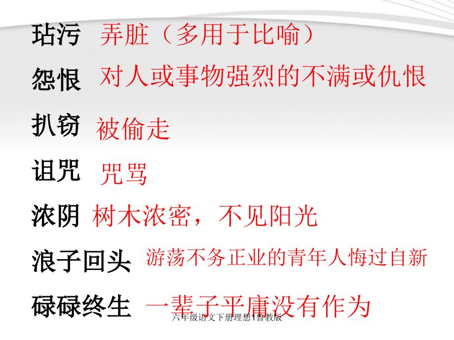 六年级语文下册理想1鲁教版课件_第4页