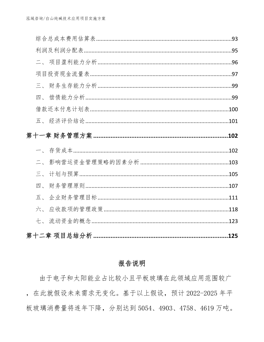 白山纯碱技术应用项目实施方案_第4页