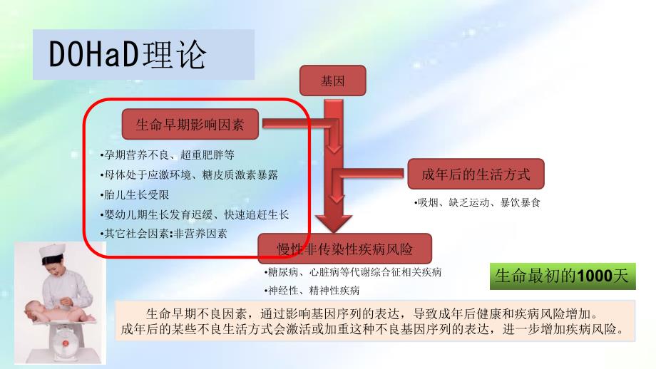 母婴保健质量与安全管理PPT课件_第4页