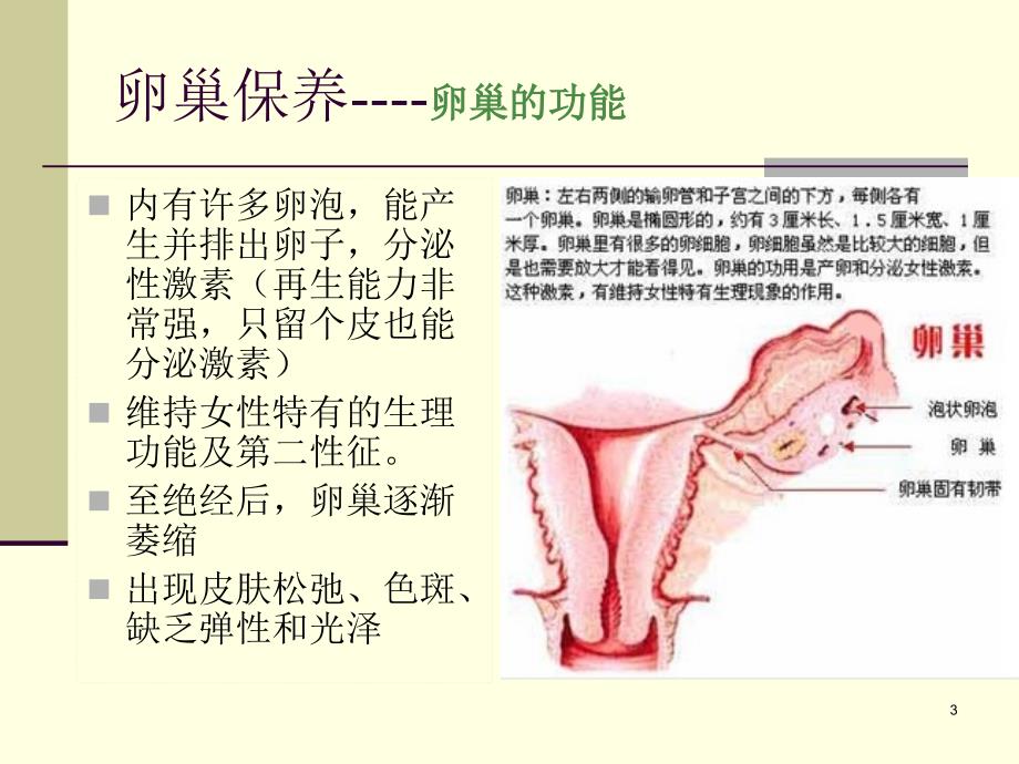 卵巢专业知识PPT_第3页