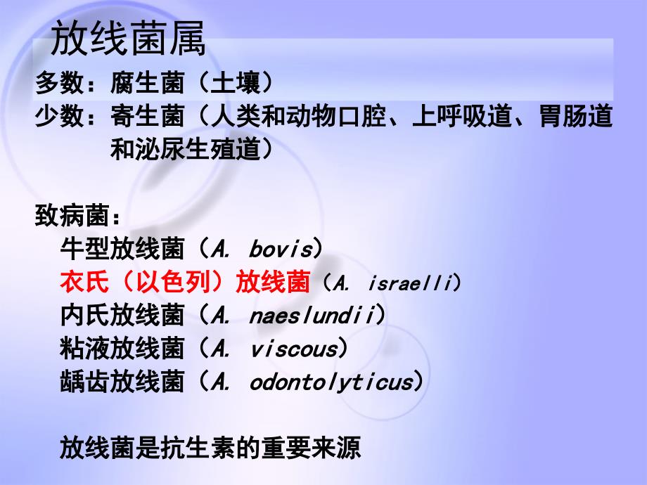 微生物真菌课件：31章 放线菌属_第4页