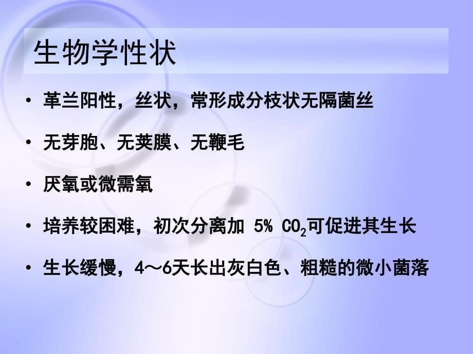 微生物真菌课件：31章 放线菌属_第5页