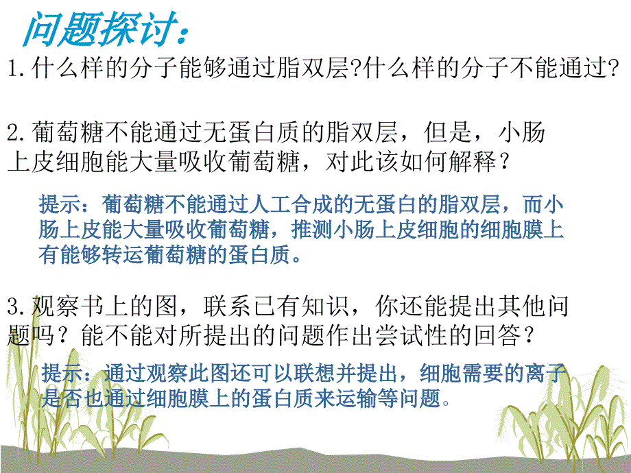 物质跨膜运输的方式(上课)ppt_第4页