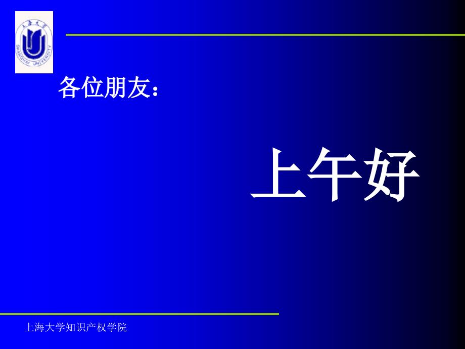 我国现行的知识产权法律体系IPKey_第1页