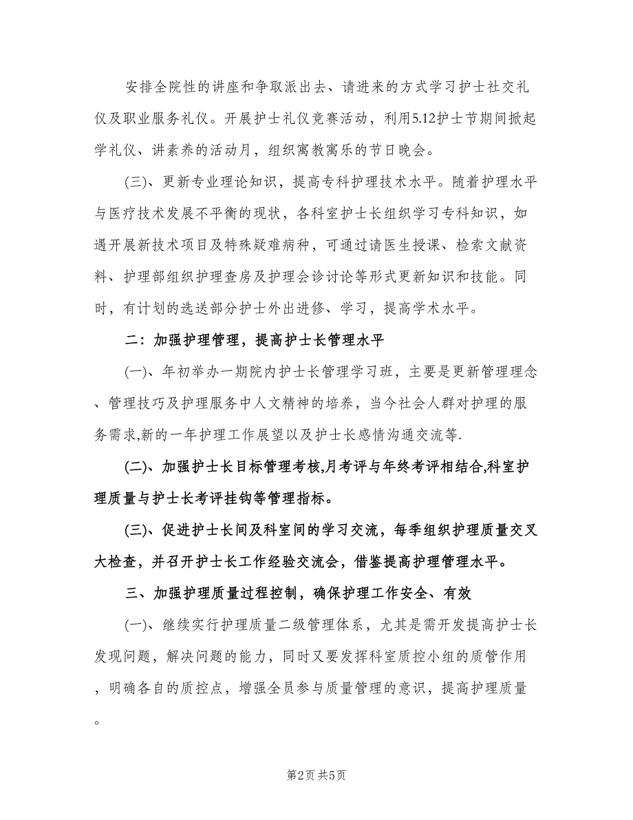 医院护士个人工作计划模板（二篇）.doc_第2页