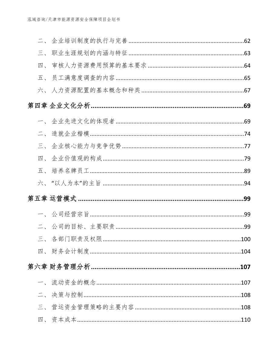 天津市能源资源安全保障项目企划书_第2页