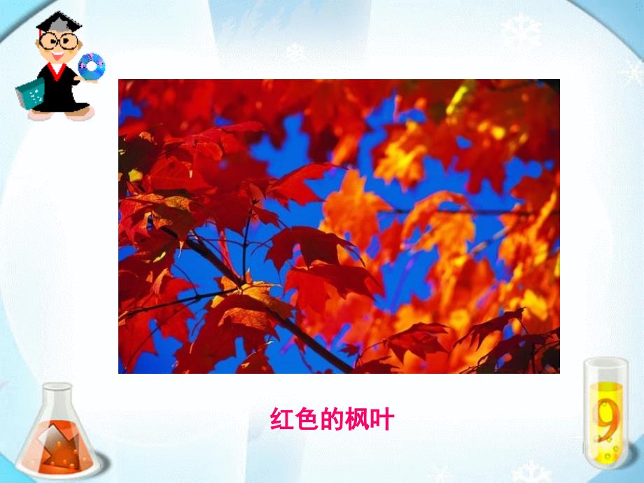 蓝色的树叶.ppt_第3页