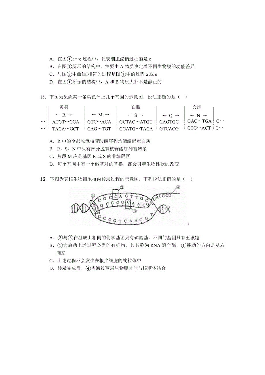 第四次月考高三生物试题.doc_第4页