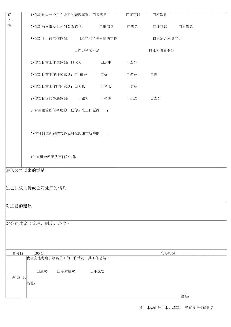 新员工试用期考核表(样本)_第5页