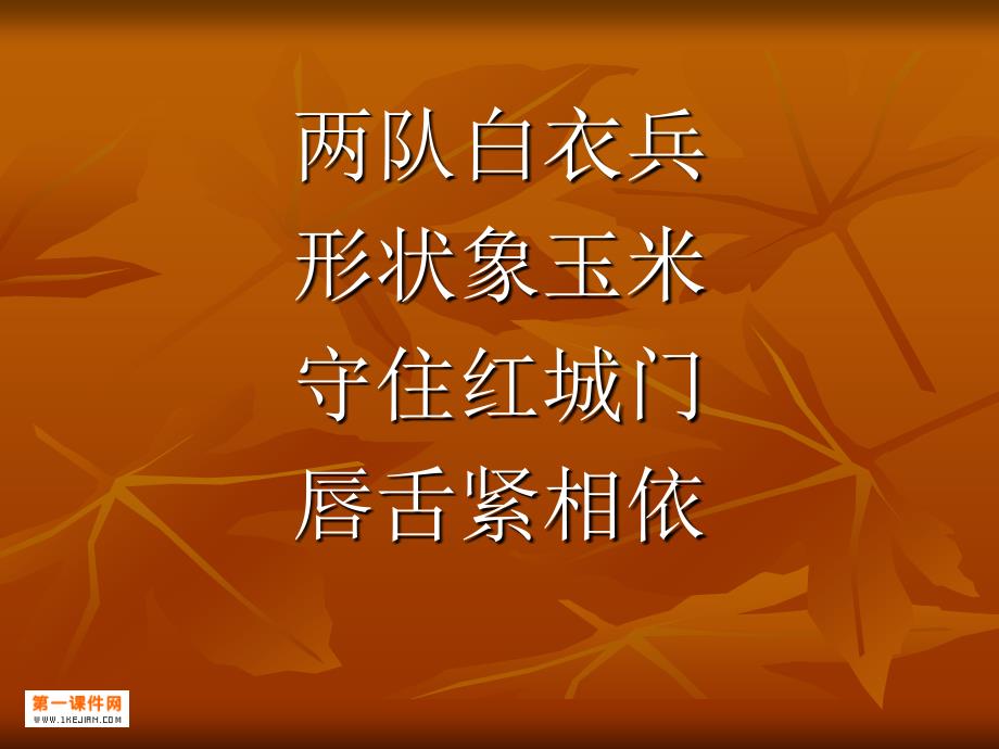 苏教版品德与生活一下我掉了一颗牙PP课件1_第2页