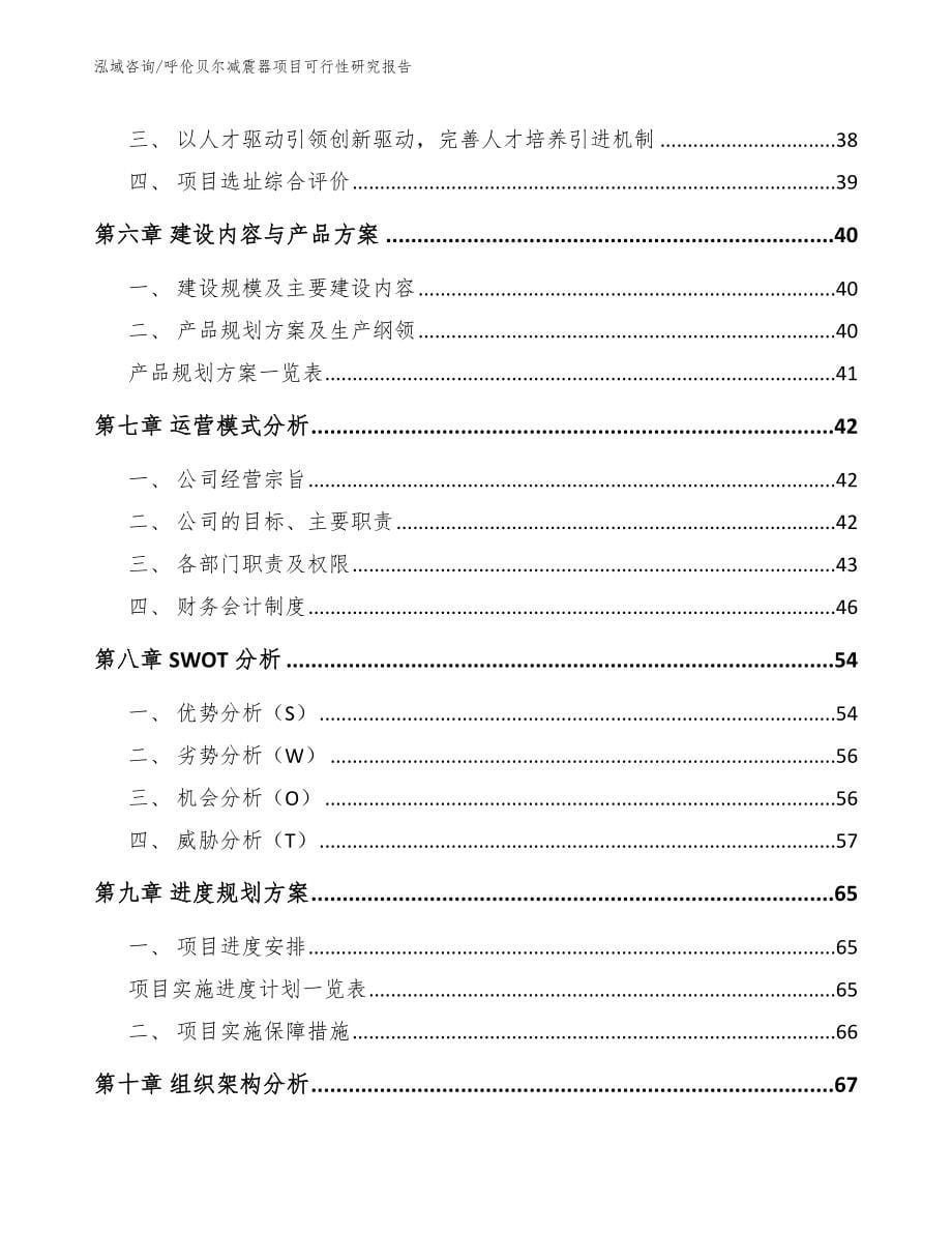 呼伦贝尔减震器项目可行性研究报告【范文模板】_第5页