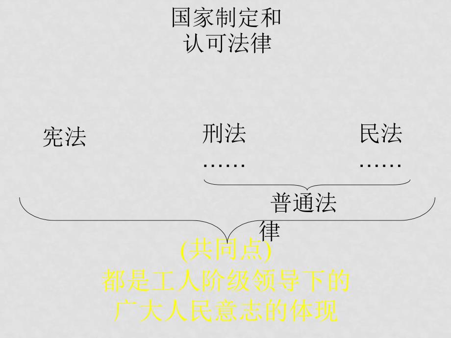 九年级政治宪法是国家的根本大法课件2人教版_第2页