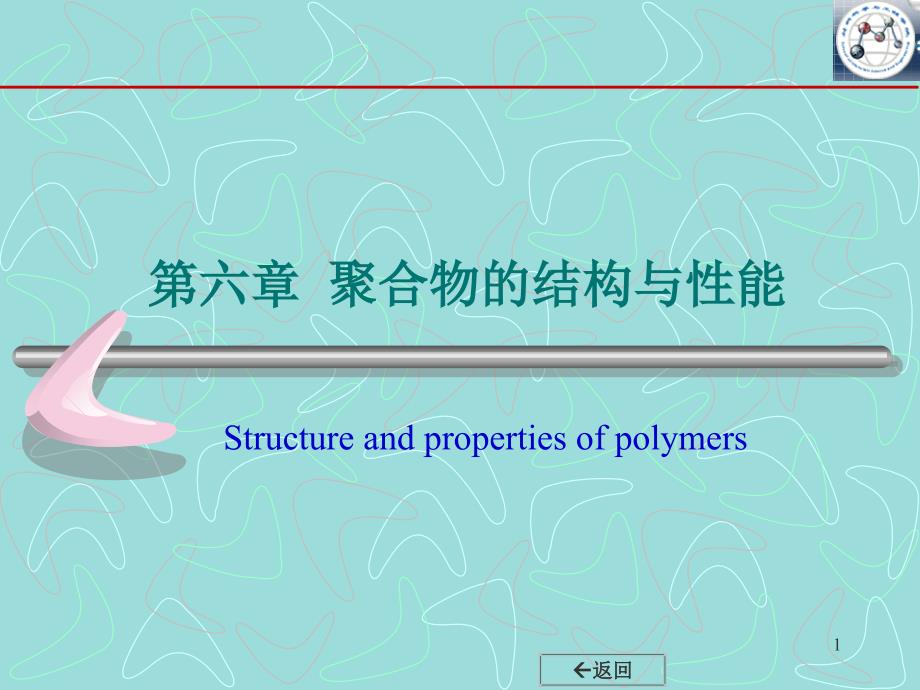 polychemphychp6_第1页