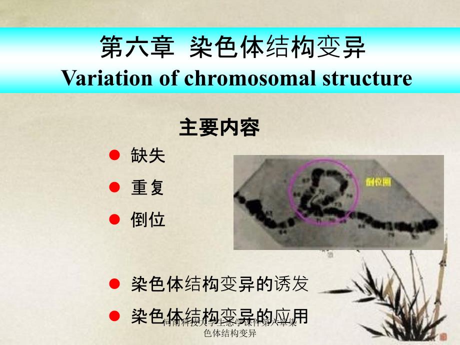 河南科技大学生态学课件第六章染色体结构变异_第1页