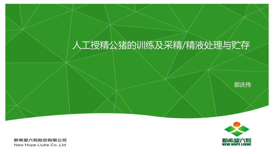 人工授精公猪的训练及采精_第1页
