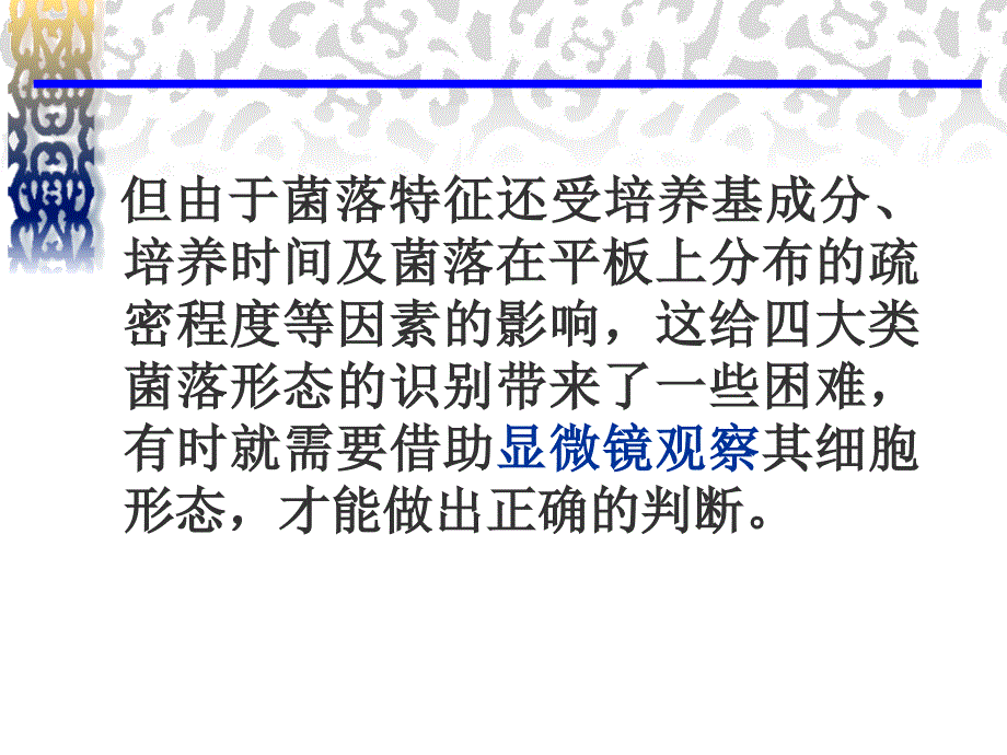 原核真核微生物个体形态观察及四大类微生物菌落形态的识别_第4页