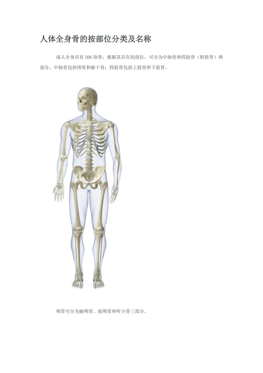 人体全身骨的按部位分类及名称_第1页