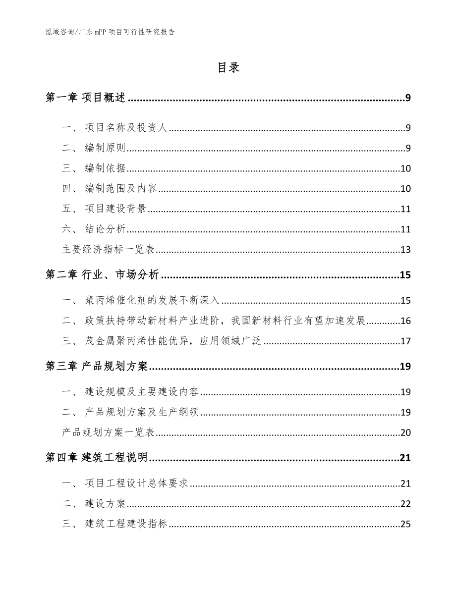 广东mPP项目可行性研究报告【参考模板】_第2页