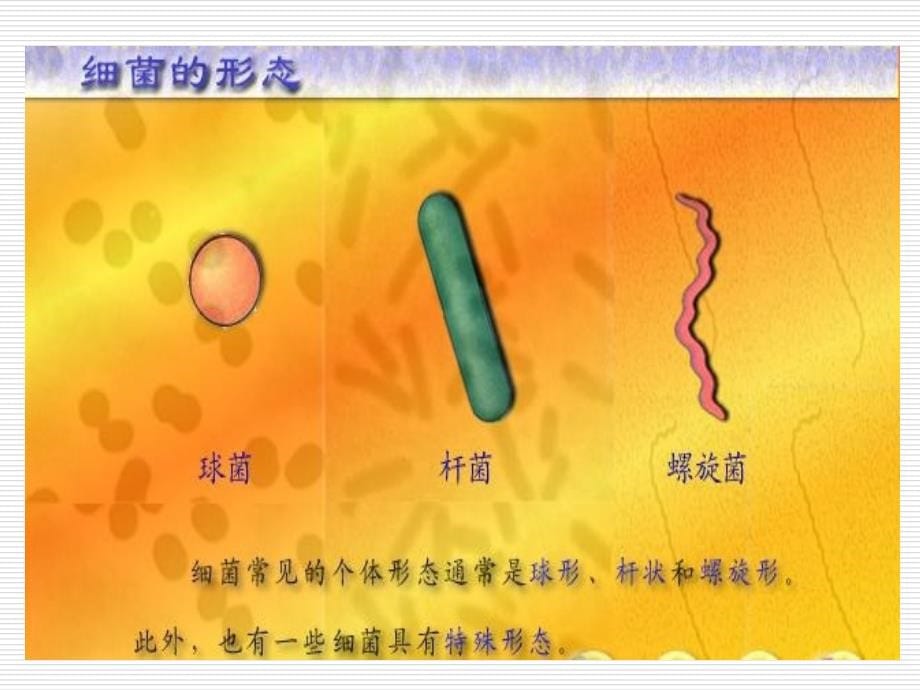 农业微生物学_第5页