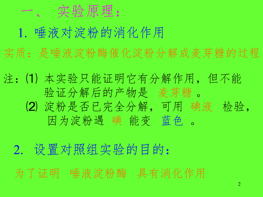 唾液淀粉酶的消化作用PPT精品文档_第2页