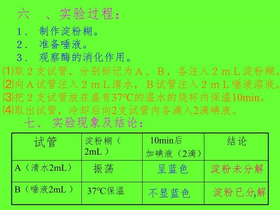 唾液淀粉酶的消化作用PPT精品文档_第5页