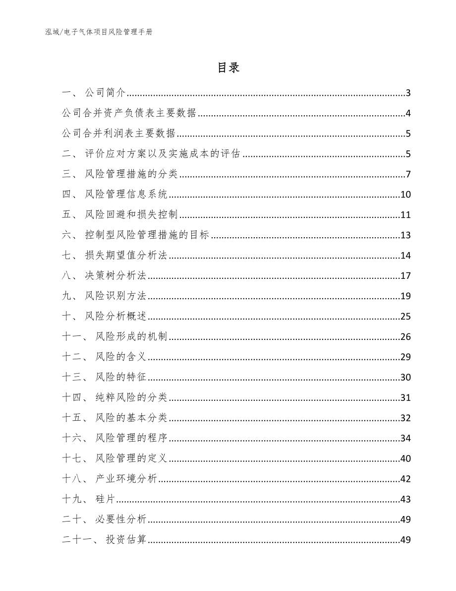 电子气体项目风险管理手册【参考】_第2页