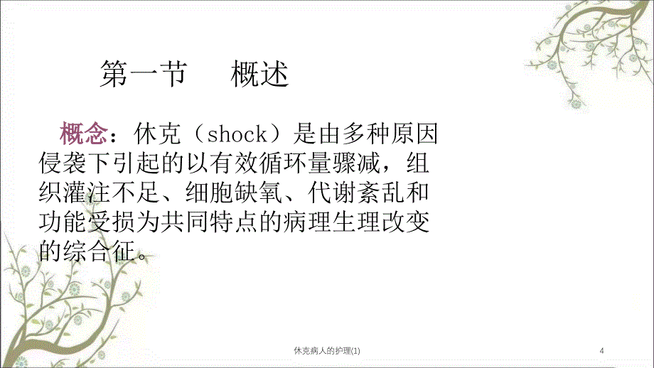 休克病人的护理1课件_第4页