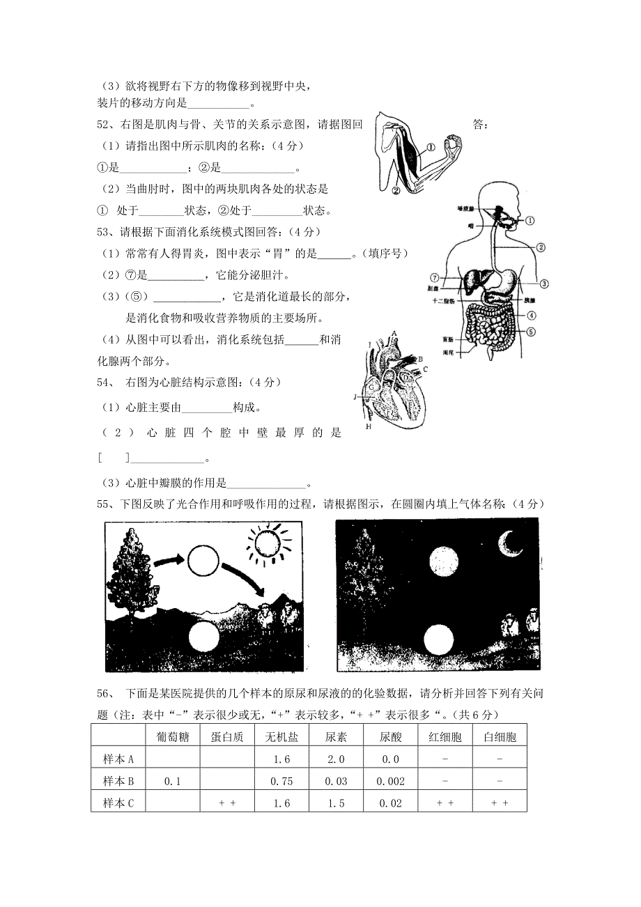 初中生物会考模拟试题&amp;答案.doc_第4页