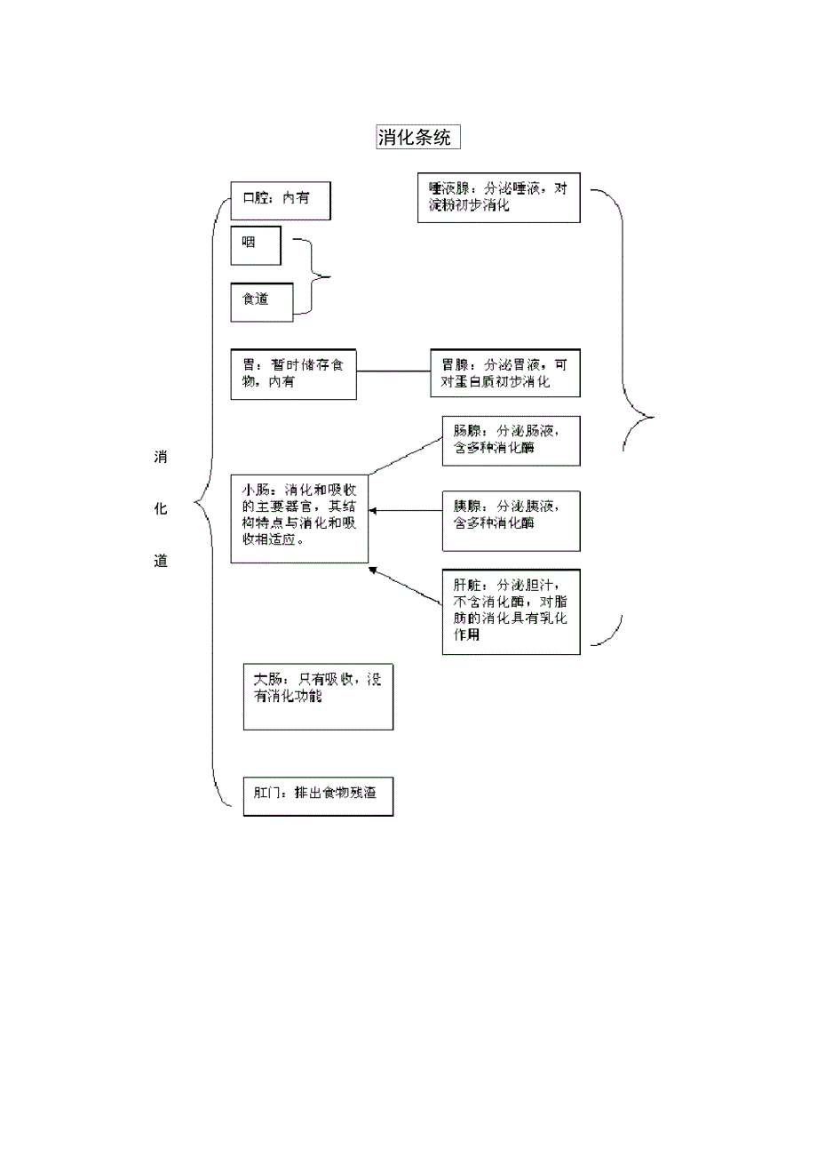 猪的消化过程及各消化器官的作用_第4页