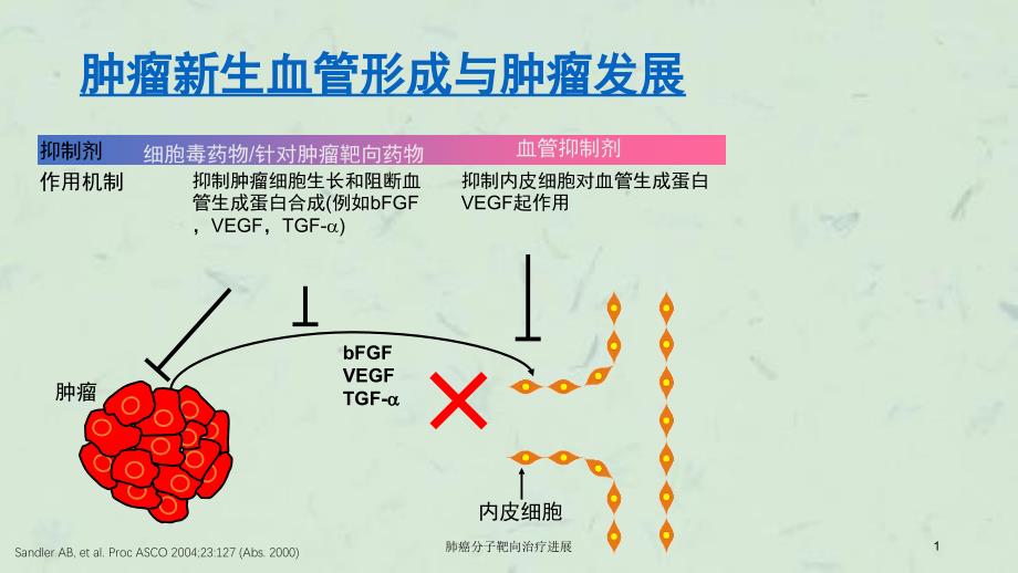 肺癌分子靶向治疗进展课件_第1页