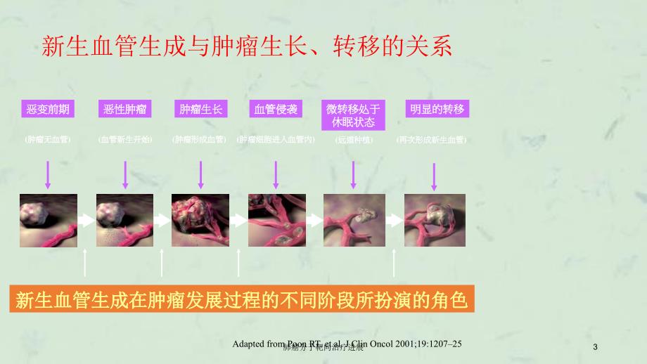 肺癌分子靶向治疗进展课件_第3页