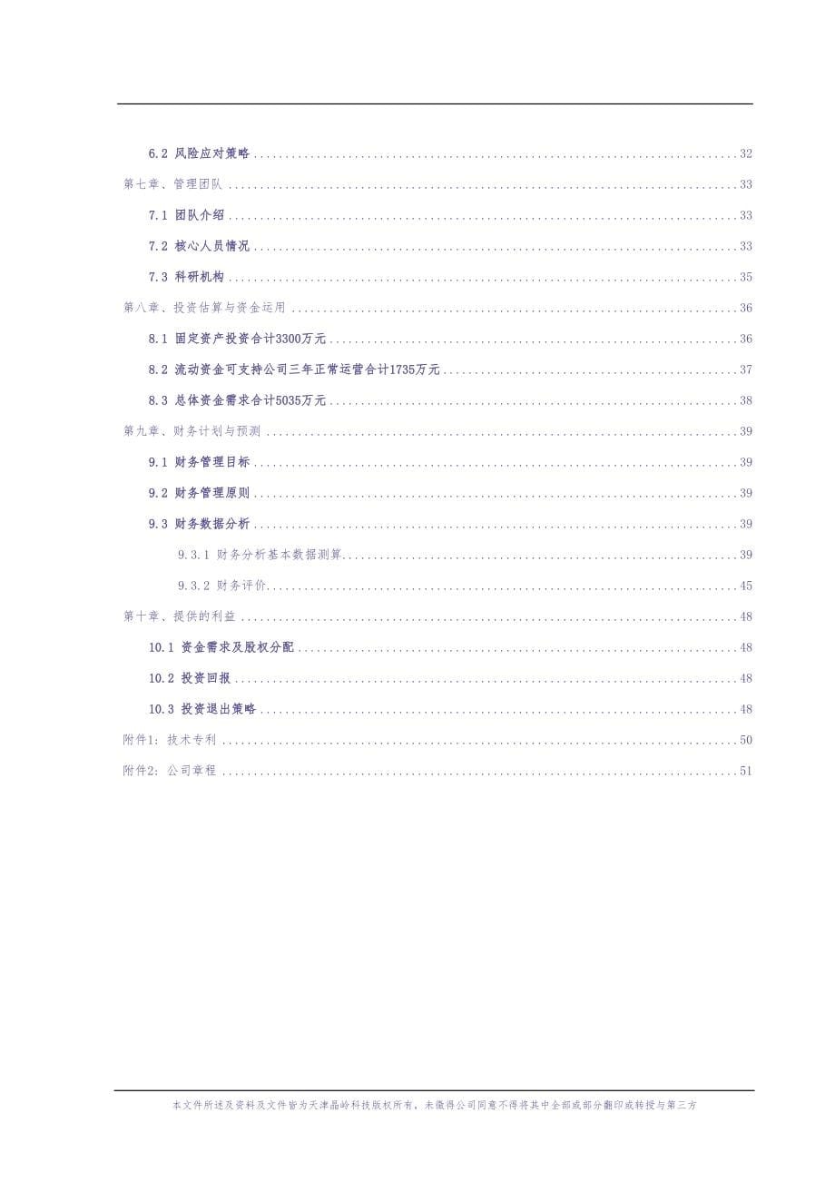 天津晶岭高科技有限公司商业计划书（天选打工人）.docx_第5页