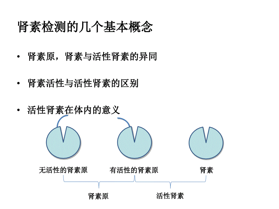 肾素检测的最新发展情况ppt课件_第4页