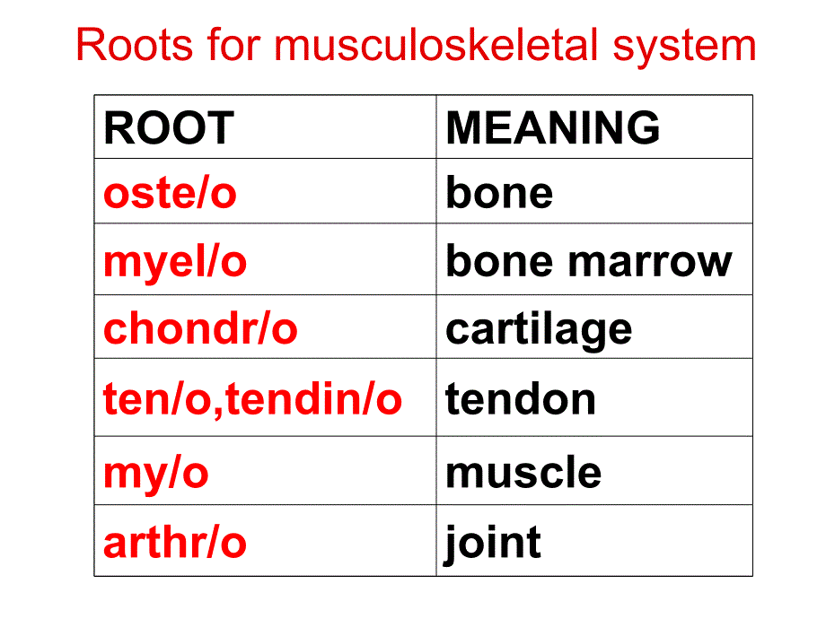 基医专外学Musculoskeletalsystem1精品课件_第4页