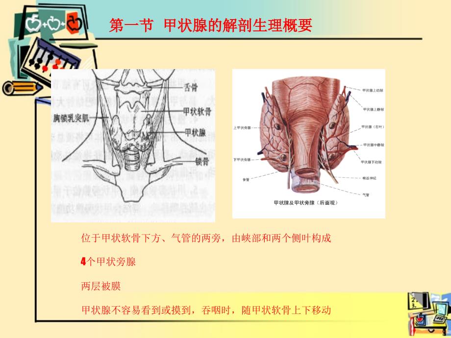 甲状腺围手术期的护理_第4页