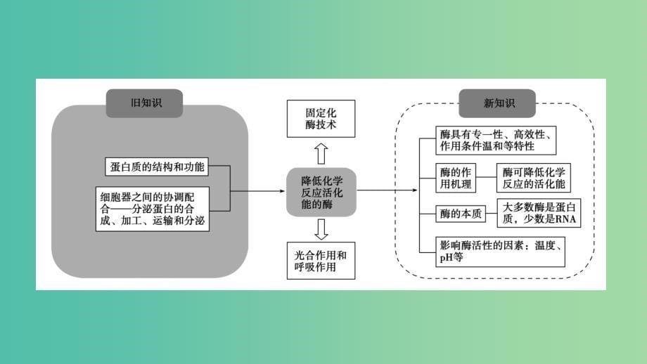 2019版高中生物 第五章 细胞的能量供应和利用 第1节 降低化学反应活化能的酶课件 新人教版必修1.ppt_第5页